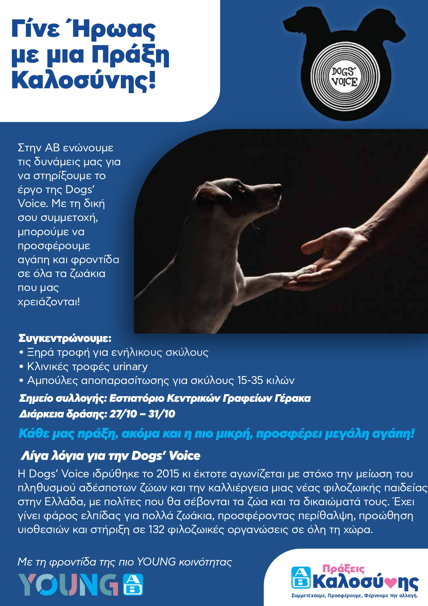 YAB | Εθελοντική επίσκεψη στη Dogs' Voice! picture